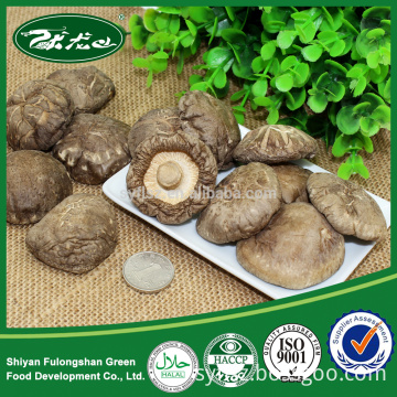 Cheap Price of 2015 New Crop Dried Shiitake